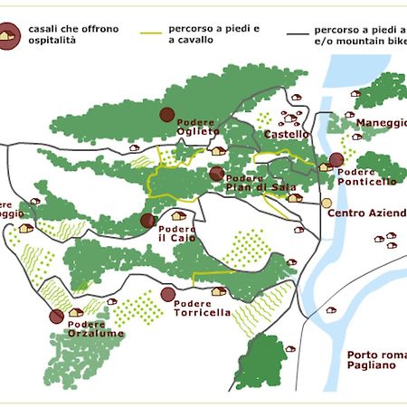 Tenuta Di Corbara Corbara  Εξωτερικό φωτογραφία