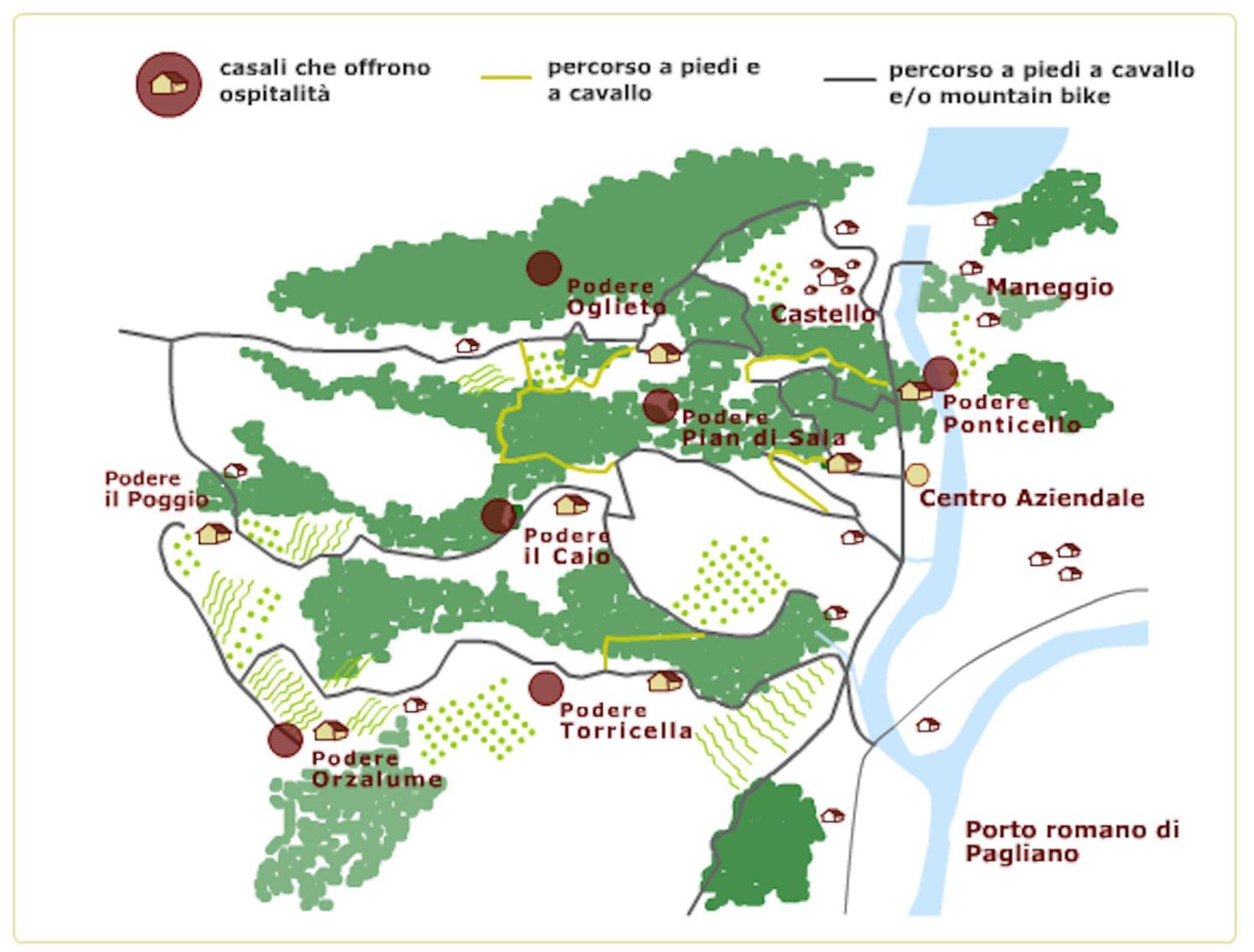 Tenuta Di Corbara Corbara  Εξωτερικό φωτογραφία
