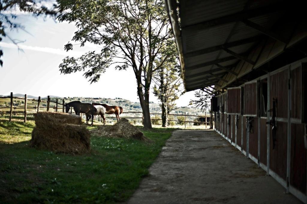Tenuta Di Corbara Corbara  Εξωτερικό φωτογραφία