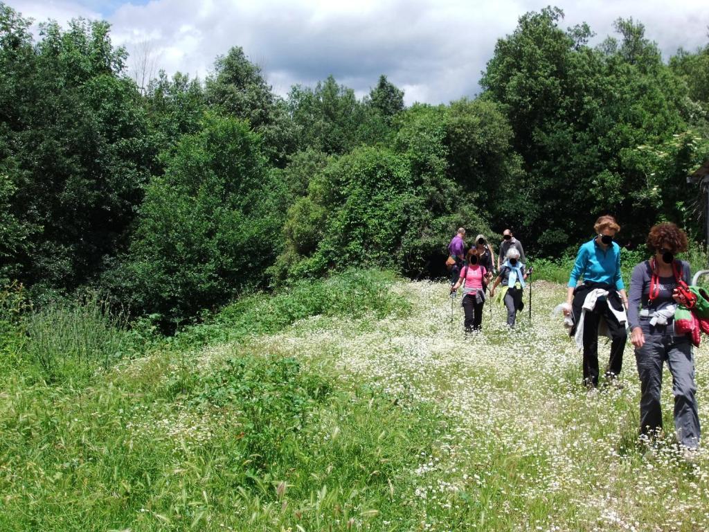 Tenuta Di Corbara Corbara  Εξωτερικό φωτογραφία