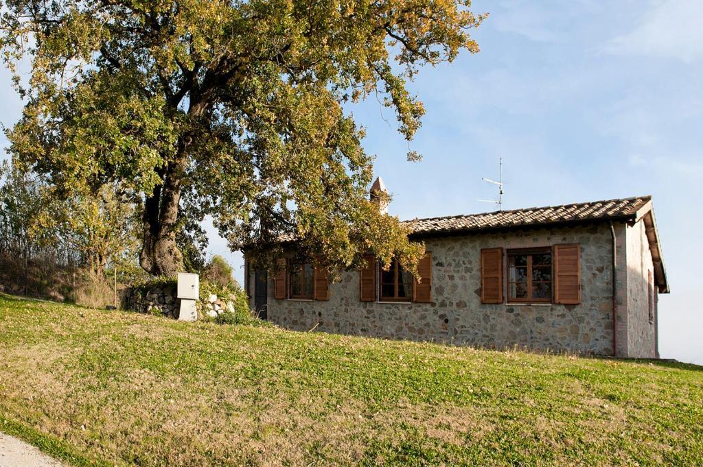 Tenuta Di Corbara Corbara  Εξωτερικό φωτογραφία